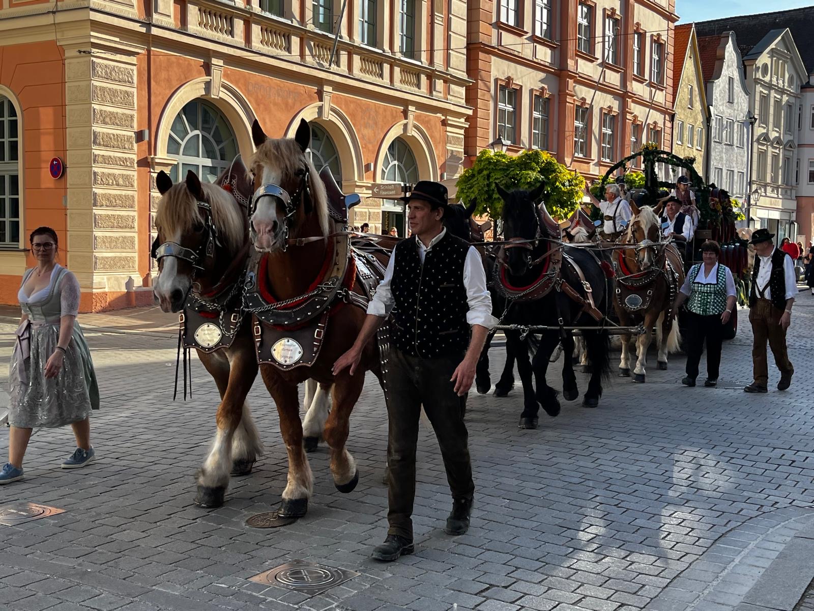 cace8bdd 2ae6 4226 8a2d 87ad08fa0d4c